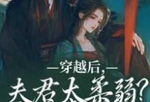 沈微萧御衡在线阅读，穿越后，夫君太柔弱？我来夺江山小说完结版章节-神奇文学