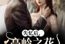 失忆后,高岭之花他又撩又哄无弹窗黎漾裴政臣最新章节列表-神奇文学