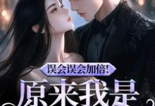 误会误会加倍宁穗季晏辞小说(宁穗季晏辞)完结版免费阅读-神奇文学
