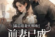 霸总追妻火葬场:前妻已成人间富贵花热门小说排行榜霸总追妻火葬场:前妻已成人间富贵花秦桑傅霆深免费小说全本-神奇文学