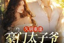(全文)久别重逢，豪门太子爷他苦苦求宠阮清月贺西楼全本免费在线阅读-神奇文学