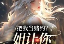 把我当赌约?姐让你跪地求饶(贺南序周初黎)全章小说阅读-神奇文学