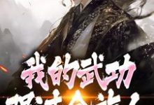 完了！我的武功强过全族人完整版小说，完了！我的武功强过全族人林枫苏清雪全章小说阅读-神奇文学