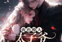 夜色撩人,太子爷为她乱了心(楚璃徐砚周)全本书籍阅读夜色撩人,太子爷为她乱了心完整版小说-神奇文学