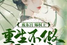 废东宫,嫁权王,重生不做乖女娘(商子焱苏以卿)全章小说阅读-神奇文学