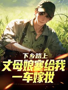 下乡路上，丈母娘塞给我一车嫁妆推荐完结小说下乡路上，丈母娘塞给我一车嫁妆(林辰宋雨)免费小说全本