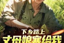 下乡路上，丈母娘塞给我一车嫁妆热门小说排行榜下乡路上，丈母娘塞给我一车嫁妆林辰宋雨免费小说全本-神奇文学