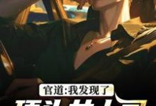 官道：我发现了顶头女上司的秘密（徐青胡丽娜）全章小说阅读-神奇文学