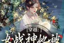 (全文)穿越：女战神她被尊主俘获了云澜夜无溟最新完结小说穿越：女战神她被尊主俘获了免费小说全本-神奇文学