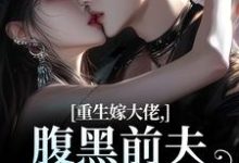 重生嫁大佬,腹黑前夫追妻火葬场热门小说排行榜重生嫁大佬,腹黑前夫追妻火葬场林疏桐贺霆屿免费小说全本-神奇文学