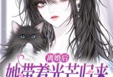 (全文)离婚后她带着光芒归来，总裁悔断肠免费小说全本，江念慕南辞试读更新章节-神奇文学