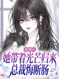 (全文)离婚后她带着光芒归来，总裁悔断肠免费小说全本，江念慕南辞试读更新章节