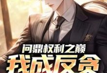 问鼎权利之巅,我成反贪第一人(林东凡沈君兰)小说推荐问鼎权利之巅,我成反贪第一人全章小说阅读-神奇文学