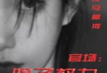 官场：除了权力还有啥热门小说排行榜官场：除了权力还有啥丁俊丰贺征免费小说全本-神奇文学