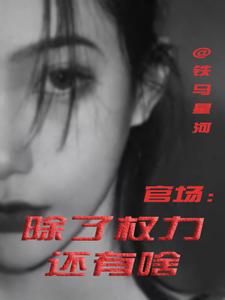 官场：除了权力还有啥热门小说排行榜官场：除了权力还有啥丁俊丰贺征免费小说全本