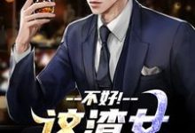 (全文)这渣女要虐死了免费小说全本,顾迟云云晚晚试读更新章节-神奇文学