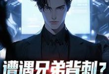 (全文)遭遇兄弟背刺？我直接去偷家（秦东骆小蝶）全本书籍阅读遭遇兄弟背刺？我直接去偷家免费小说全本-神奇文学