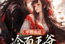 卑微求爱:冷面王爷只为她轻哄完整版小说卑微求爱:冷面王爷只为她轻哄(苏如卿赫连渊)全章小说阅读-神奇文学
