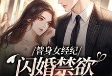 替身女经纪,闪婚禁欲大佬虐渣男完整版小说替身女经纪,闪婚禁欲大佬虐渣男(黎湘霍斯然)全章小说阅读-神奇文学
