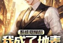 (全文)系统觉醒后，我成了地表最强龙傲天（江南）全本书籍阅读系统觉醒后，我成了地表最强龙傲天免费小说全本-神奇文学