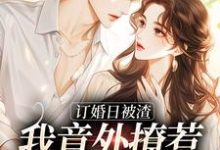 顾知衍简瑶订婚日被渣，我意外撩惹京圈大佬全本免费在线阅读-神奇文学