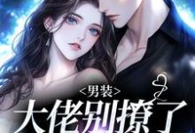 阮橙商淮砚男装大佬别撩了，你掉马了全本免费在线阅读-神奇文学