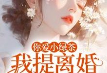 你爱小绿茶，我提离婚你急什么完整版小说，你爱小绿茶，我提离婚你急什么陆应淮苏晴好全章小说阅读-神奇文学