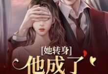 (全文)她转身,他成了不放的疯批陆芷霍征铭全本免费在线阅读-神奇文学