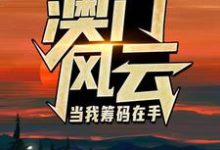 澳门风云:当我筹码在手热门小说排行榜澳门风云:当我筹码在手王东曼丽免费小说全本-神奇文学