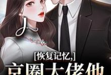 (全文)恢复记忆，京圈大佬他疯狂宠妻完结小说推荐沈梨初裴聿全本书籍阅读-神奇文学
