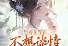 黑莲花驾到(宁司寒林妩)小说推荐黑莲花驾到全章小说阅读-神奇文学