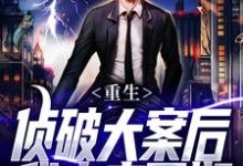 重生:侦破大案后,我未来可期完整版小说,重生:侦破大案后,我未来可期江风刘雨桐试读更新章节-神奇文学