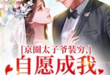 京圈太子爷装穷,自愿成我的金丝雀(秦婕妤殷权)全本书籍阅读京圈太子爷装穷,自愿成我的金丝雀完整版小说-神奇文学