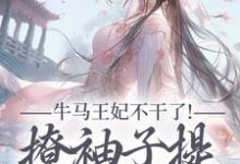 (全文)牛马王妃不干了!撩袖子提和离独美萧北策云初七全本免费在线阅读-神奇文学