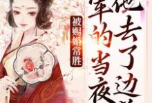 (全文)被赐婚常胜将军的当夜，他去了边关热门小说排行榜，被赐婚常胜将军的当夜，他去了边关青妩燕昭全章小说阅读-神奇文学