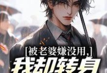 (全文)被老婆嫌没用，我却转身成了首富！（唐仁林紫嫣）全本书籍阅读被老婆嫌没用，我却转身成了首富！免费小说全本-神奇文学