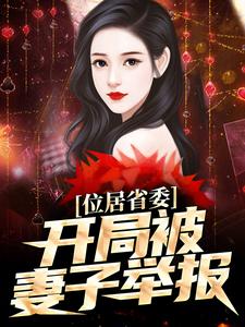 位居省委，开局被妻子举报热门小说排行榜位居省委，开局被妻子举报苏玉黎锦免费小说全本