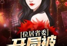 位居省委,开局被妻子举报完整版小说位居省委,开局被妻子举报(苏玉黎锦)全章小说阅读-神奇文学