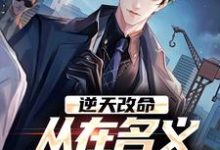 逆天改命,从在名义当秘书开始陈正泽祁同伟热门小说排行榜逆天改命,从在名义当秘书开始免费小说-神奇文学