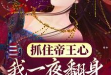 (全文)抓住帝王心，我一夜翻身成宠妃完结小说推荐萧煜沈芙全本书籍阅读-神奇文学