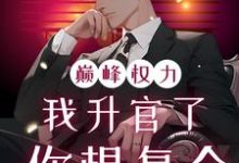 巅峰权力：我升官了你想复合（林磊）全章小说阅读-神奇文学