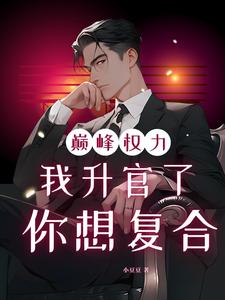 巅峰权力：我升官了你想复合林磊最新完结小说，巅峰权力：我升官了你想复合全本免费在线阅读