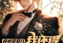 穿越变婴儿,我还得内卷玩疯癫(李云峰)小说推荐穿越变婴儿,我还得内卷玩疯癫全章小说阅读-神奇文学