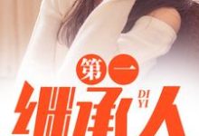 (全文)第一继承人（徐飞）全本书籍阅读第一继承人免费小说全本-神奇文学