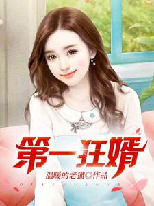 (全文)第一狂婿热门小说排行榜，第一狂婿林枫全章小说阅读