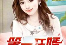 第一狂婿（林枫）全章小说阅读-神奇文学