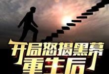 开局怒揭黑幕,重生后整顿官场最新完结小说开局怒揭黑幕,重生后整顿官场陈知行免费小说-神奇文学