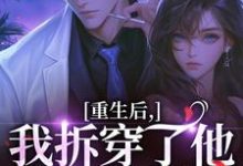 盛南汐秦渡重生后，我拆穿了他换娃的把戏全本免费在线阅读-神奇文学