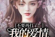 不要再打了!我的爱情我自己选裴撤苏暖最新完结小说,不要再打了!我的爱情我自己选全本免费在线阅读-神奇文学