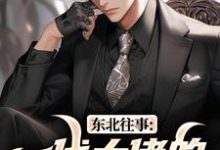 东北往事:一代大佬的成功之路王晨马三完结小说推荐,东北往事:一代大佬的成功之路全章小说阅读-神奇文学
